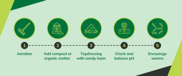 Infographic showing five soil improvement steps: aeration, add compost, topdress with sandy loam, balance pH, and encourage worms.