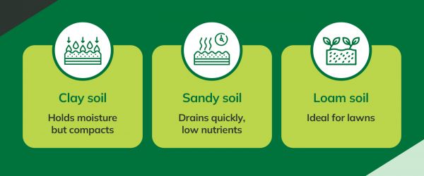 Infographic comparing soil types: clay holds moisture, sandy drains fast, and loam is best for lawns.