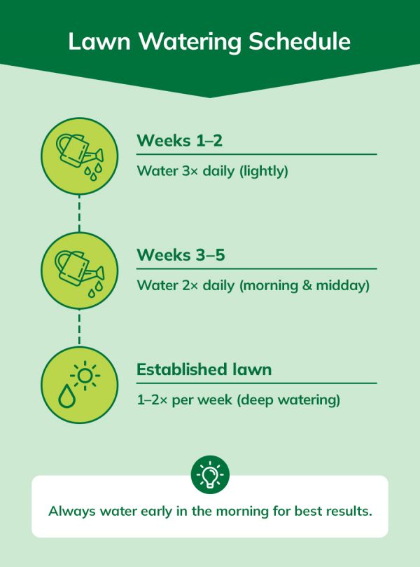 Here’s a shorter version:  Alt text: Lawn watering schedule showing how often to water new and established lawns.