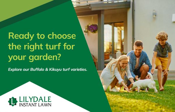 Family playing with a small dog on their lawn beside a green banner that reads, “Ready to choose the right turf for your garden?”