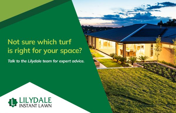 Modern home with a green lawn beside text reading, “Not sure which turf is right for your space?”