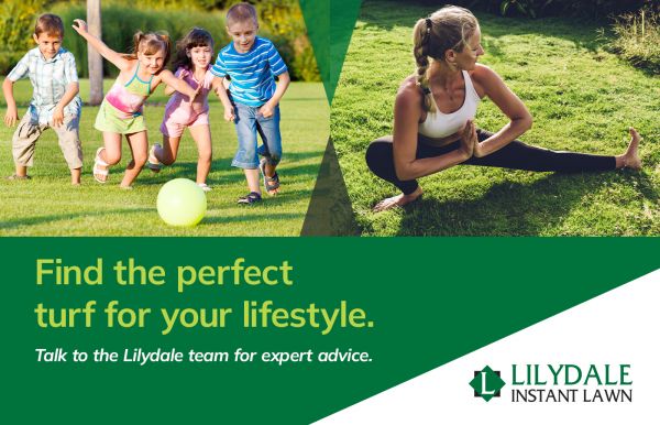 Kids playing on grass and a woman doing yoga on a lawn.