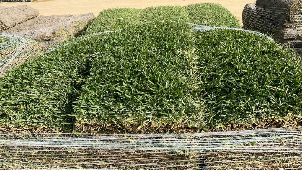 Bairnsdale sirwalter winterpallet