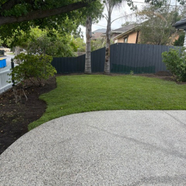 Avalon front yard transformed with Sir Walter DNA Certified Buffalo, replacing a former car park.