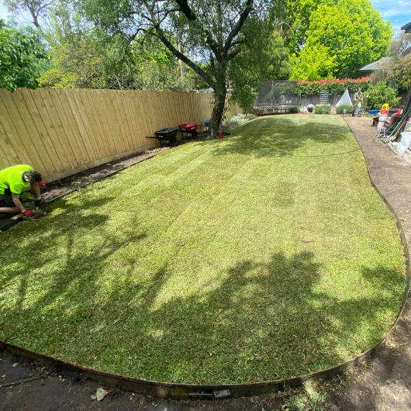 Ringwood backyard rebuilt from the ground up with Sir Walter DNA Certified Buffalo.