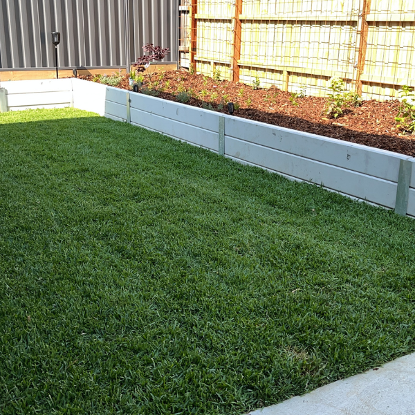 Shaded Knoxfield backyard transformed with Sir Walter DNA Certified Buffalo, dog-friendly and low maintenance.