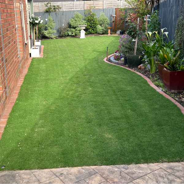 Knoxfield backyard's degraded artificial turf replaced with lush TifTuf Bermuda.