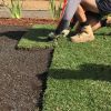 Một người làm vườn ở Lilydale đang cẩn thận trồng thảm cỏ tươi ở sân sau, đảm bảo bãi cỏ xanh tươi và gọn gàng dưới bầu trời đầy nắng.
