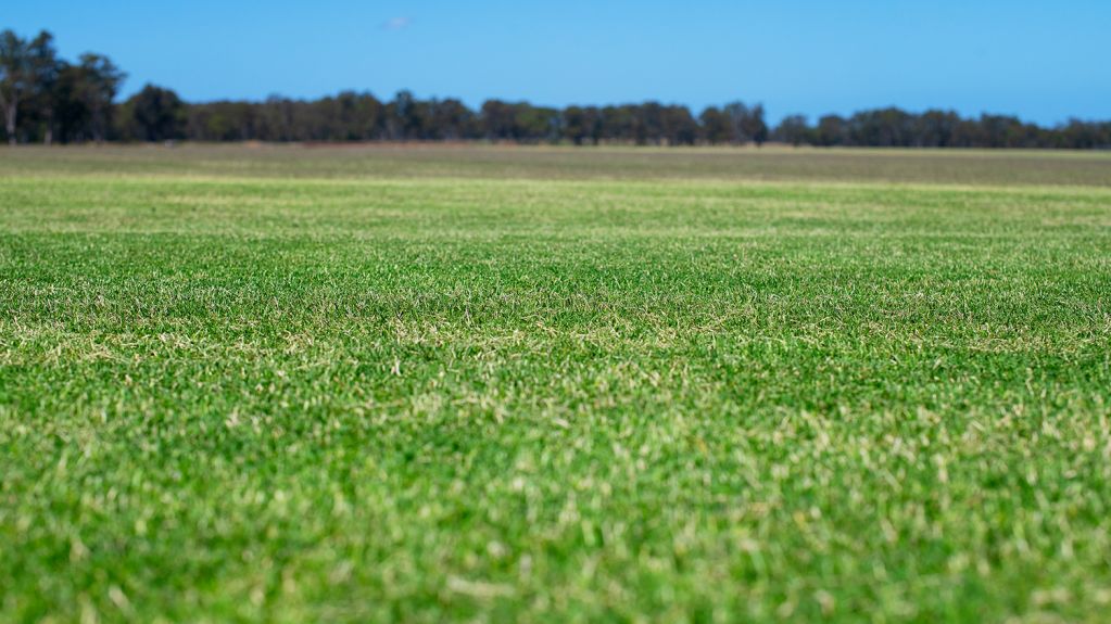 LLBairnsdale 2026 104 Online