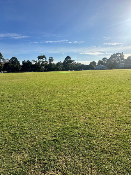 Ferndale Park sports field in Glen Iris resurfaced with TifTuf Bermuda Sand Based Maxi Rolls.