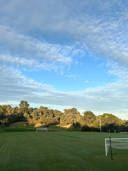 Wonga Park Cricket ground upgraded with TifTuf Bermuda Sand Based Maxi Rolls.