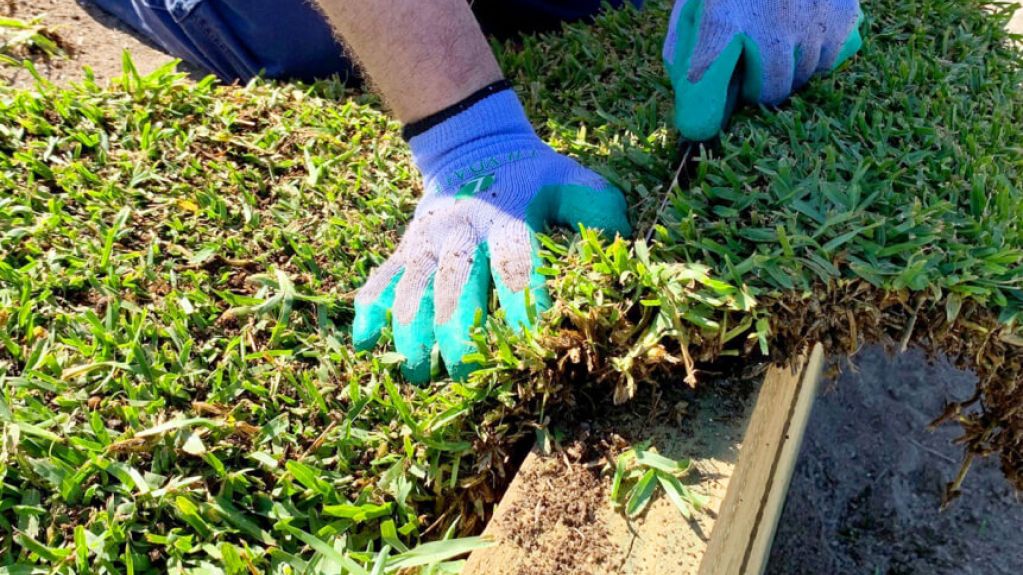 Close-up of Landscaper Trimming Fresh Grass Turf Edge with Gardening Tool