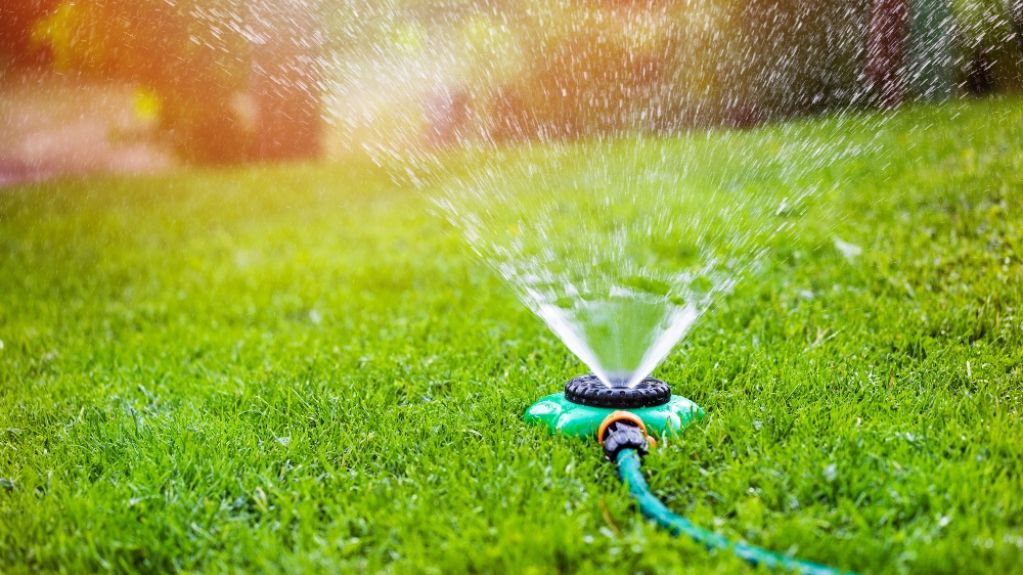 watering lawn v2