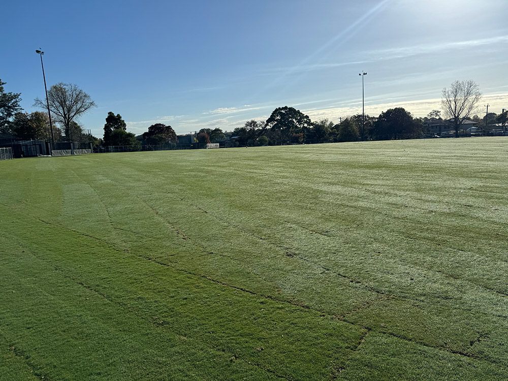 Revitalised Ashburton Reserve sports field with newly laid TifTuf Bermuda Maxi Rolls.