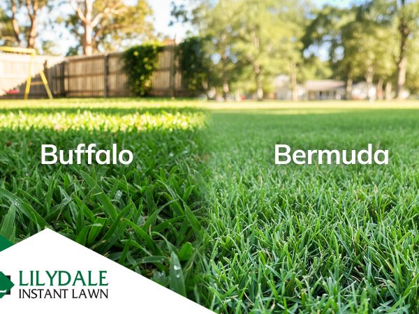 Asset 1 Hero Banner Image 1 v2