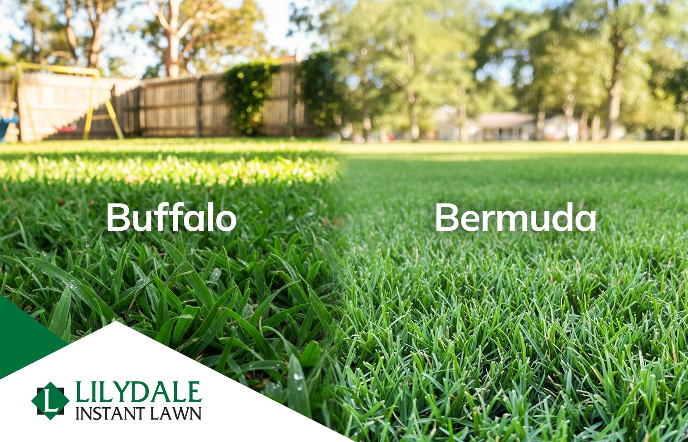 Asset 1 Hero Banner Image 1 v2