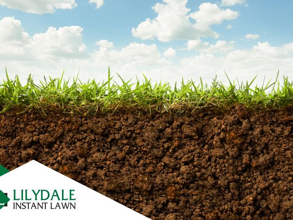 Asset 1 Hero Banner Image 1