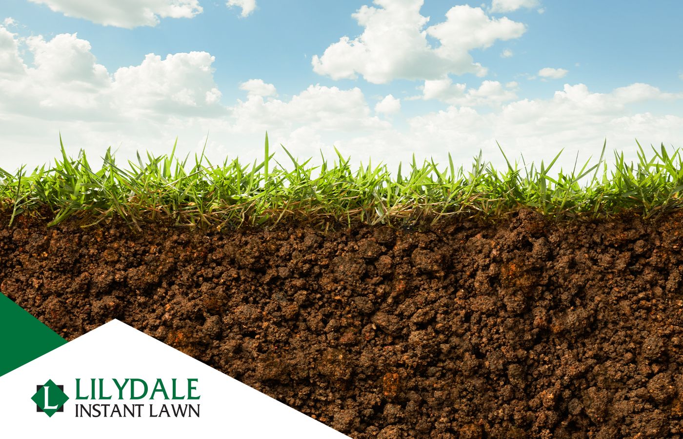 Asset 1 Hero Banner Image 1