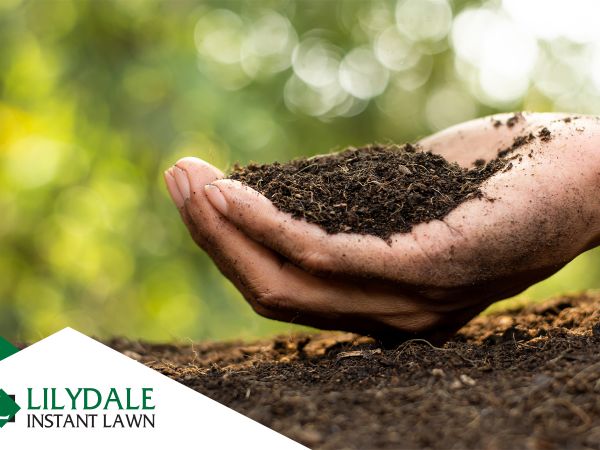 Asset 1 Hero Banner Image 2