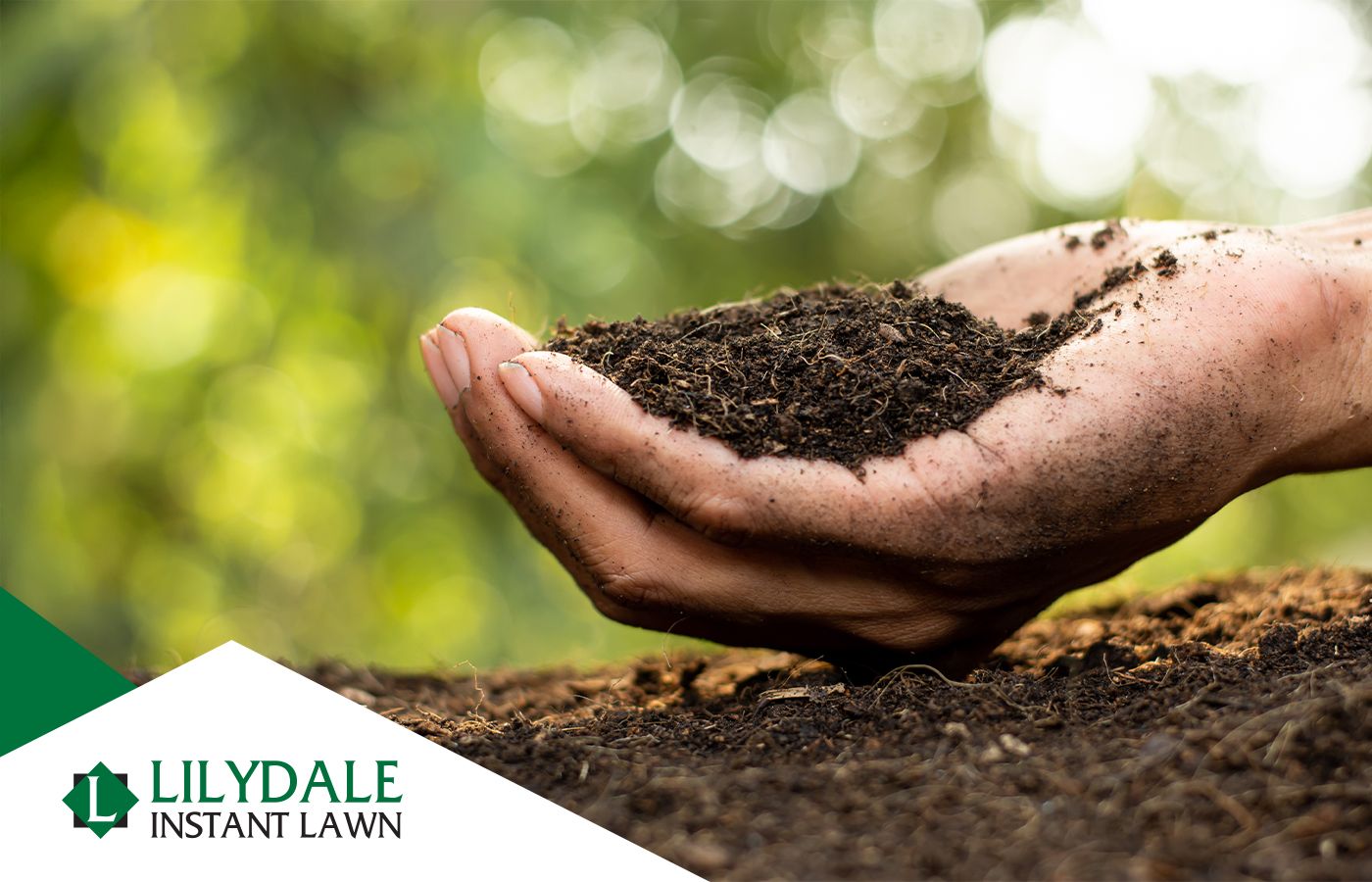 Asset 1 Hero Banner Image 2