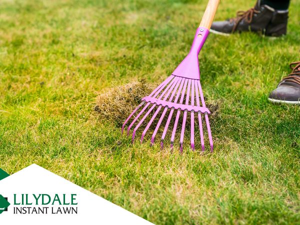 Asset 1 Hero Banner Image 3