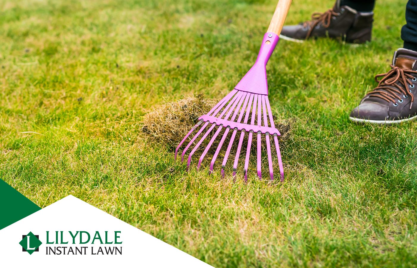 Asset 1 Hero Banner Image 3