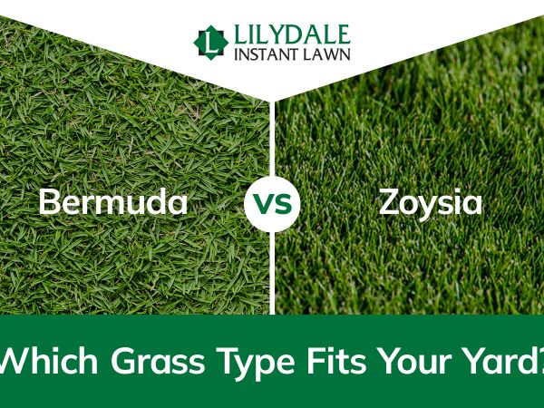 Asset 1 Hero Banner Image 4