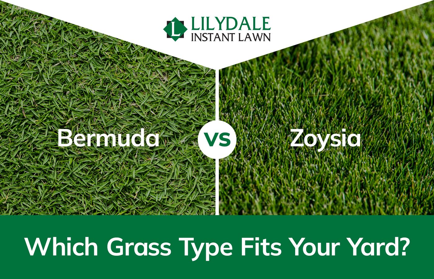 Asset 1 Hero Banner Image 4