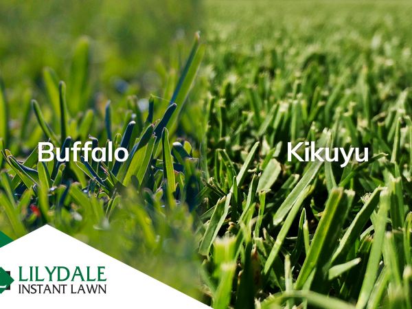 Asset 1 Hero Banner Image 5