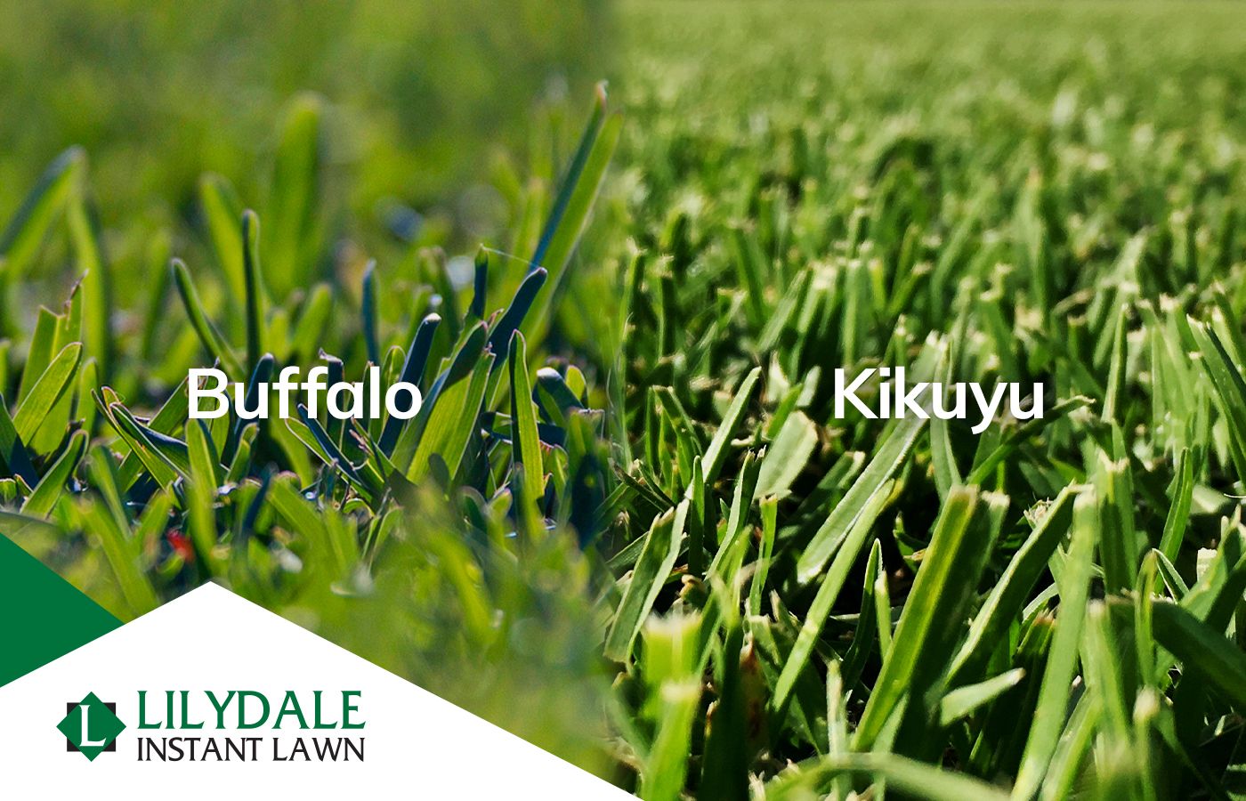 Asset 1 Hero Banner Image 5