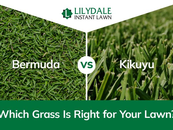 Asset 1 Hero Banner Image 6