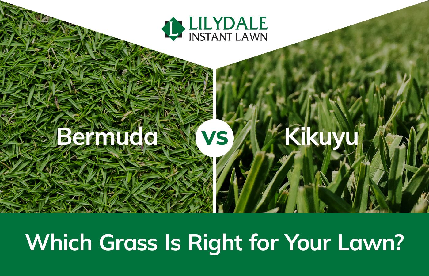 Asset 1 Hero Banner Image 6