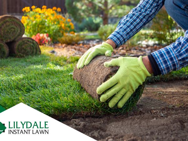 Asset 1 Hero Banner Image 7