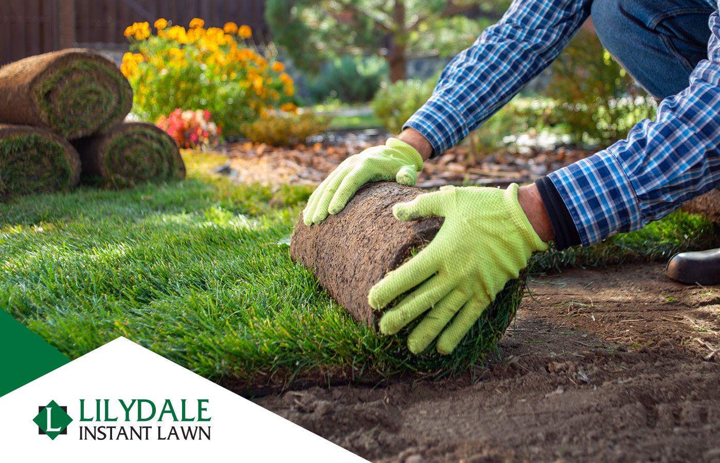 Asset 1 Hero Banner Image 7