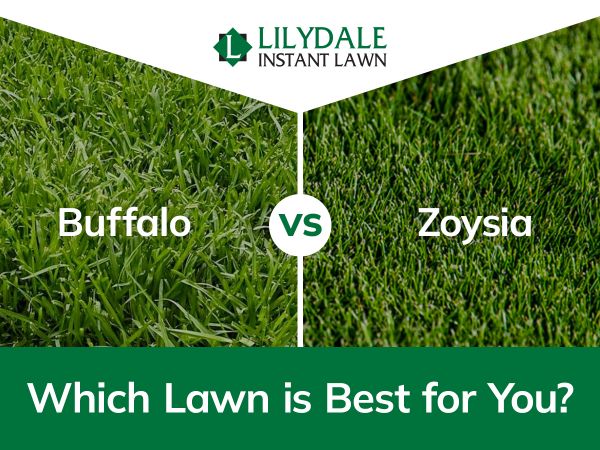 Asset 1 Hero Banner Image v2