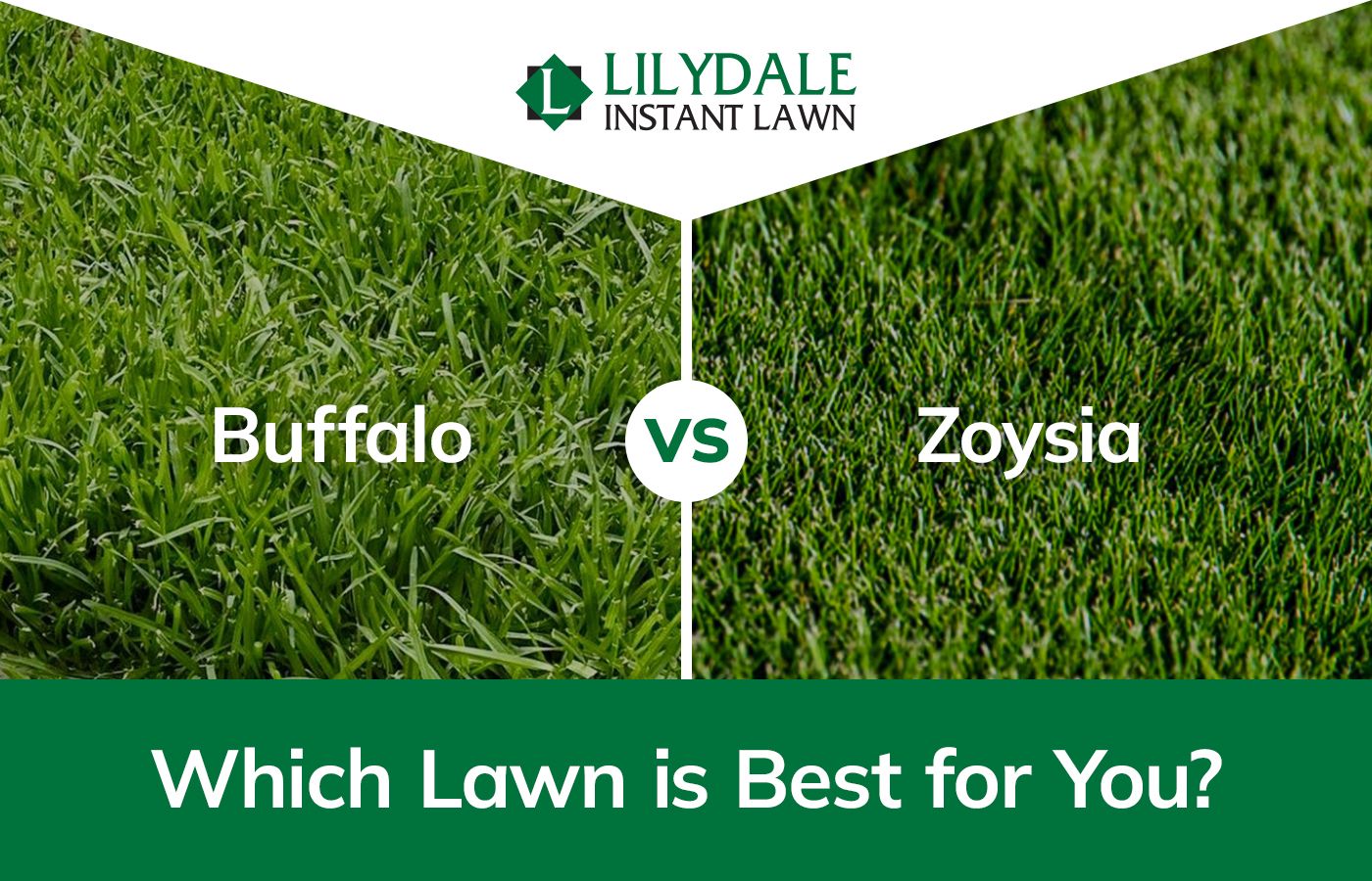 Asset 1 Hero Banner Image v2