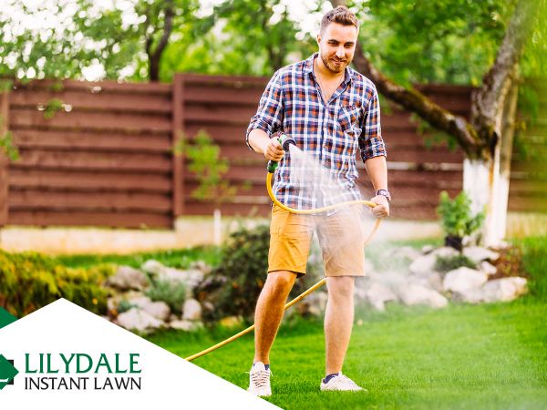 Asset 1 Hero Banner Image