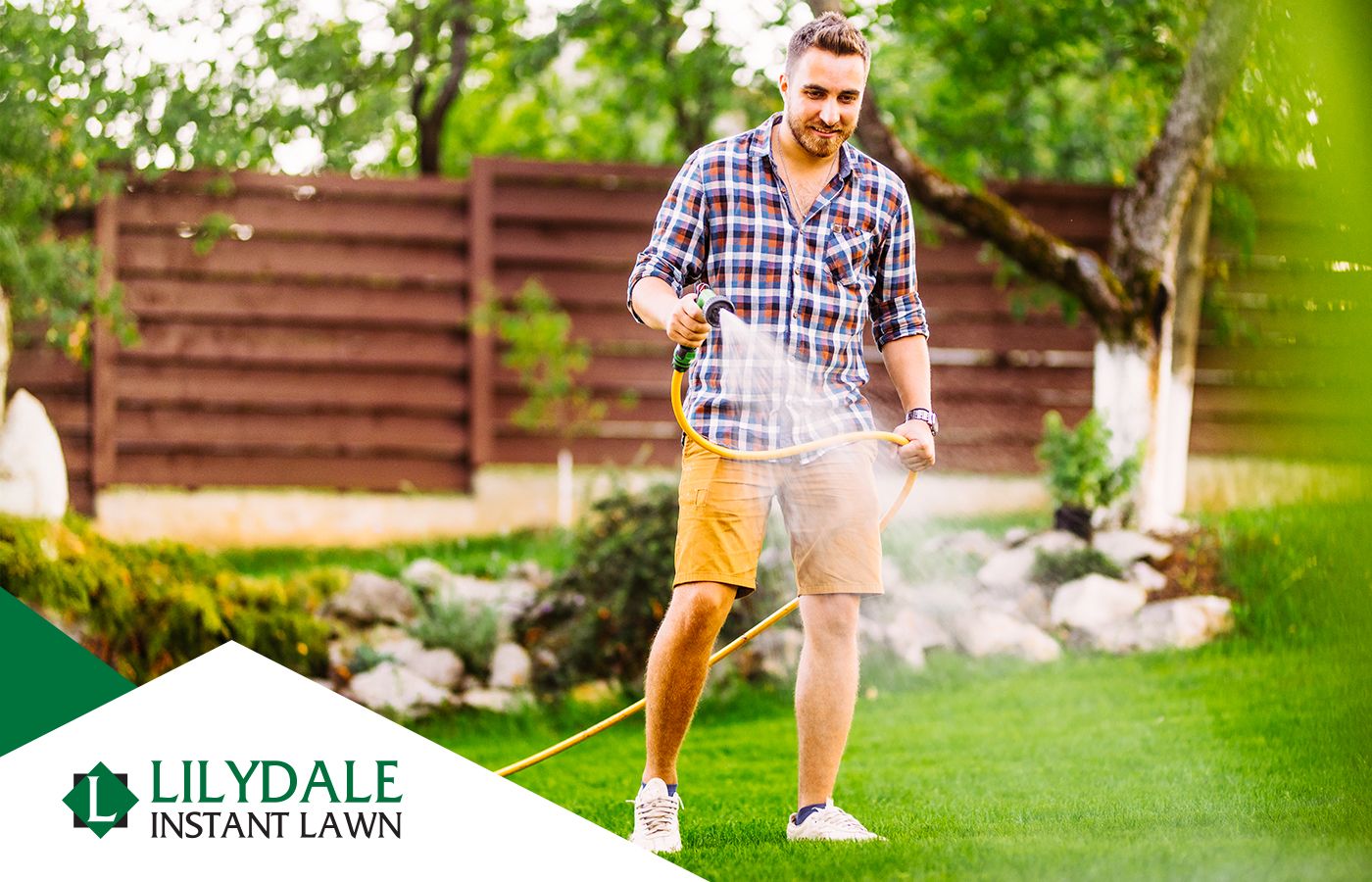 Asset 1 Hero Banner Image