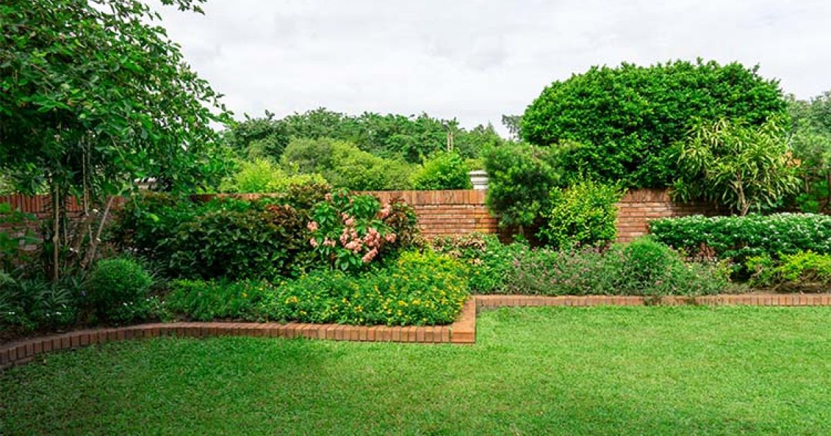 Best Grass for Melbourne Homes Lawn Varieties Revealed