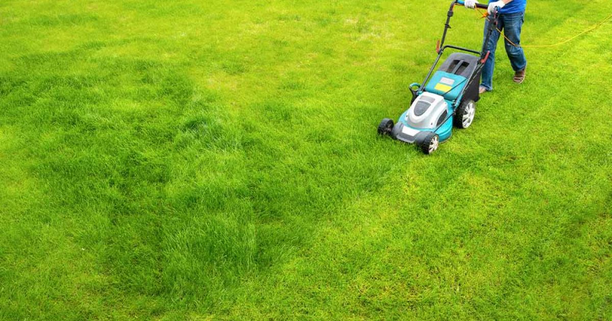 What Time Can I Mow My Lawn In Melbourne? Mowing Times