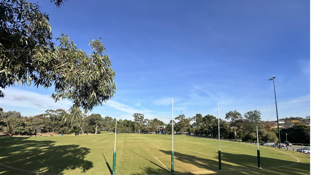 Ferndale Park 3 v2