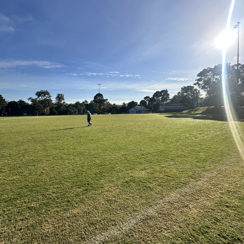 Ferndale Park 3