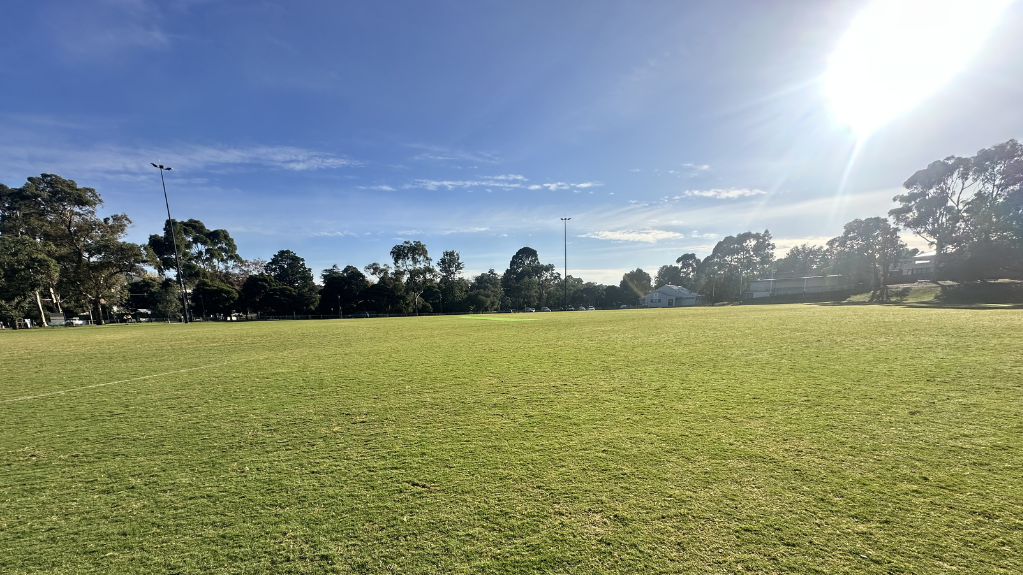 Ferndale Park 5