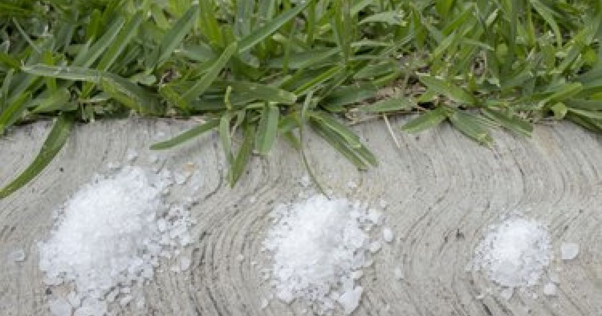 Is Gypsum Good For Your Lawn Benefits & Best Practices