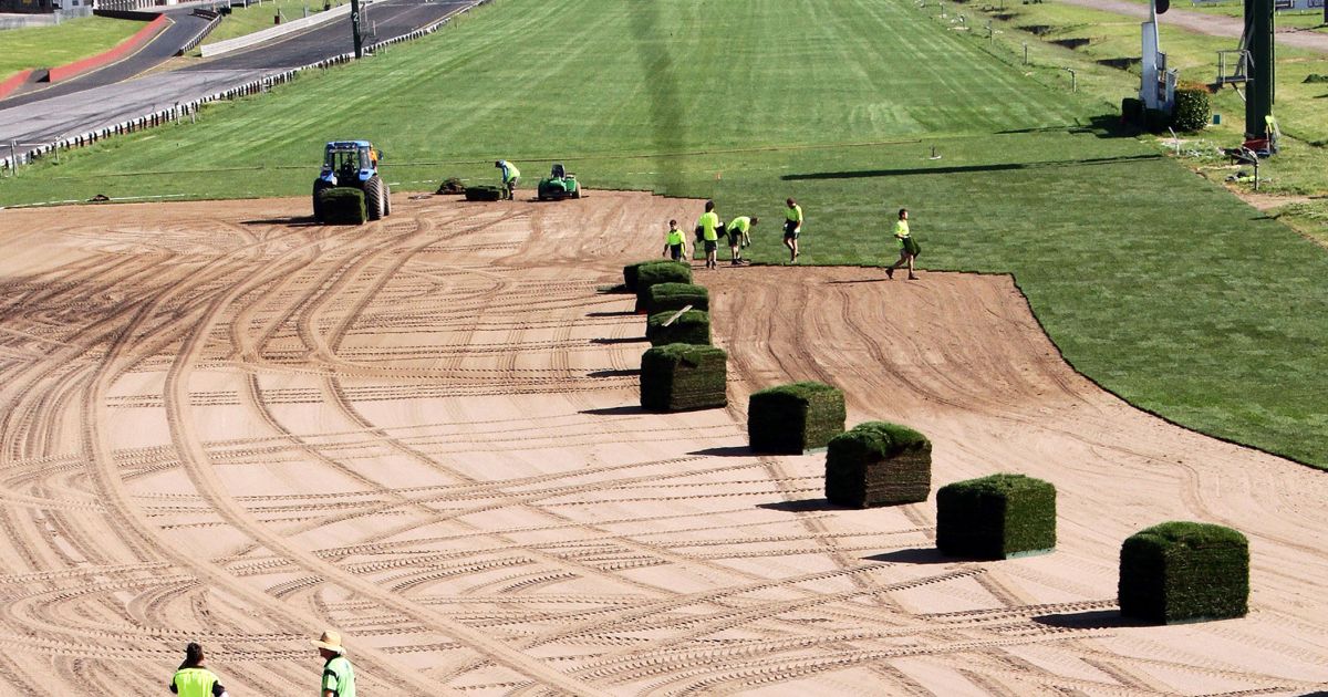 Horse Race Track Turf | Sand-Based Custom Turf Blends