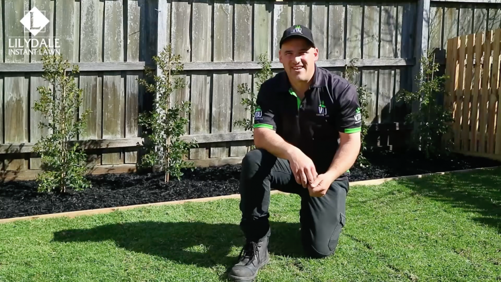 Vince from VJAY Garden Service