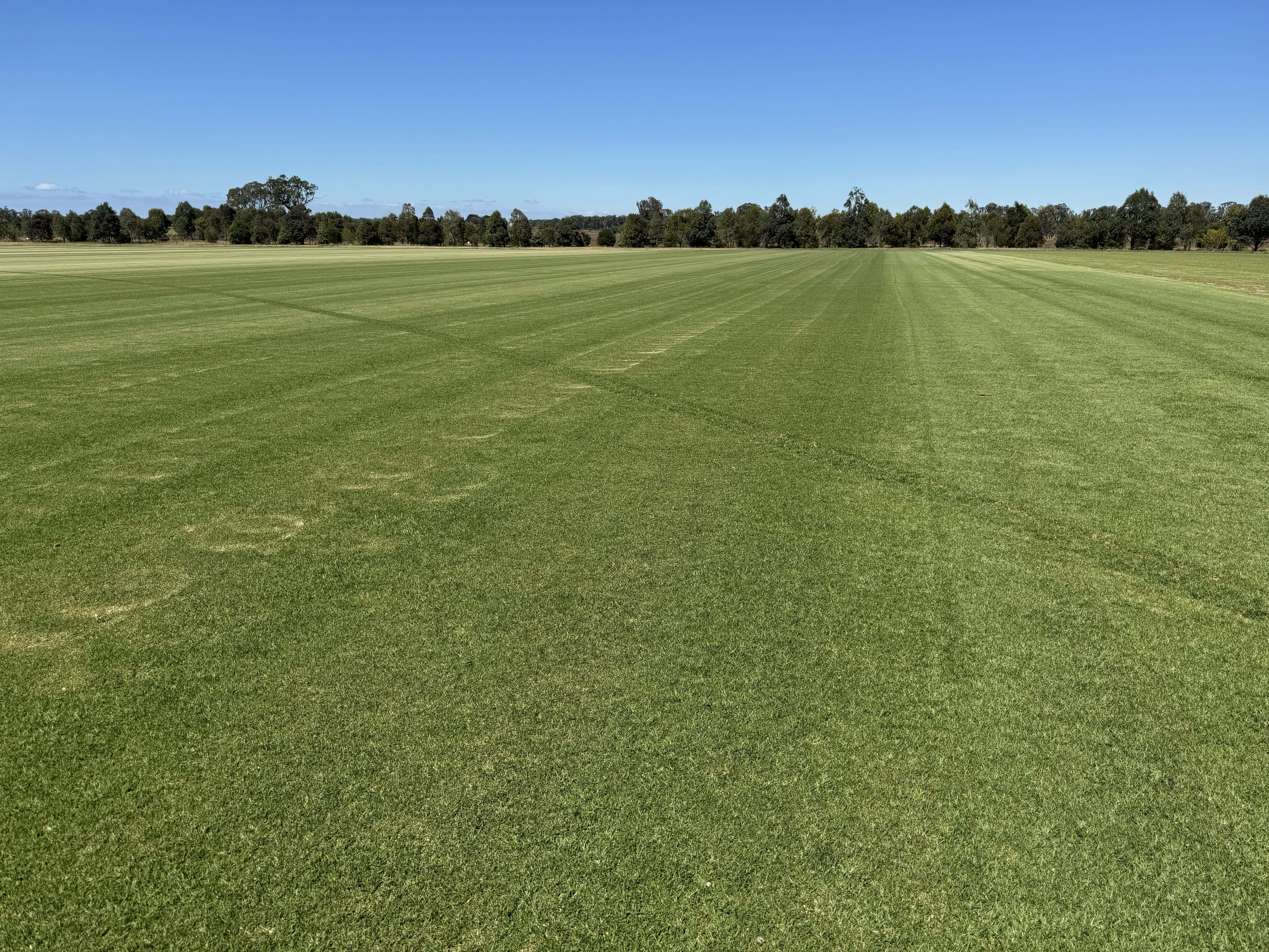Wide striped turf field in an open landscape