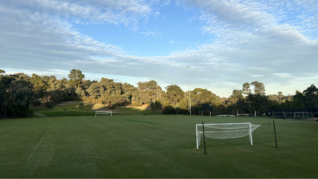 Wonga Park 1L