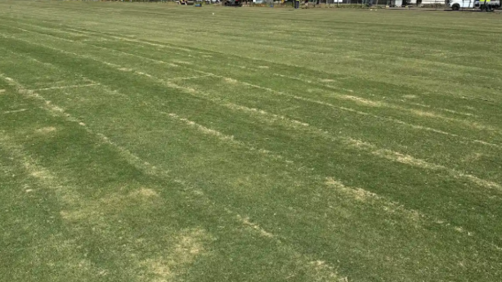 Newly installed TifTuf Bermuda turf at Ashburton Reserve sports field.