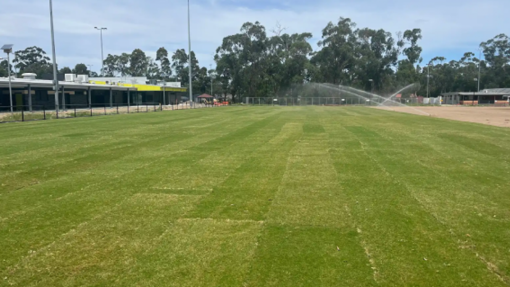 Newly installed TifTuf Bermuda Washed Maxi Rolls across Bellbird Park’s upgraded sports field in Drouin.